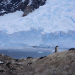 Expedition Antarctica: Ultimate Adventure Cruise