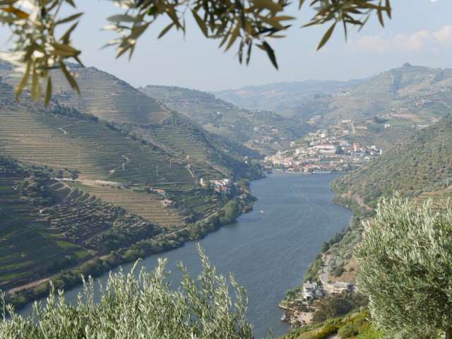 The Douro River Valley, a UNESCO Heritage region. © 2014 Ralph Grizzle