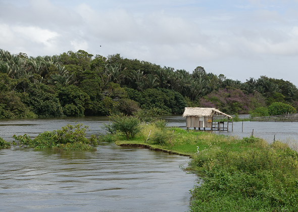 Remote Amazon river scene