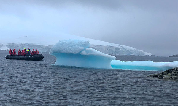 Icebergs, Melchior Islands