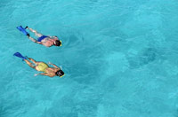 Snorkeling