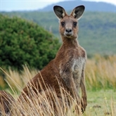 Spend Winter in Australia & New Zealand Spend Winter in Australia & New Zealand
