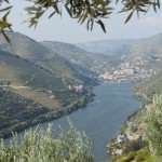 A Tale Of Two Rivers: The Danube vs. The Douro