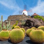 2017 Grand Voyage: The Canary Islands