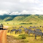 Explore Africa In-Depth with 2021 Grand Africa Voyage