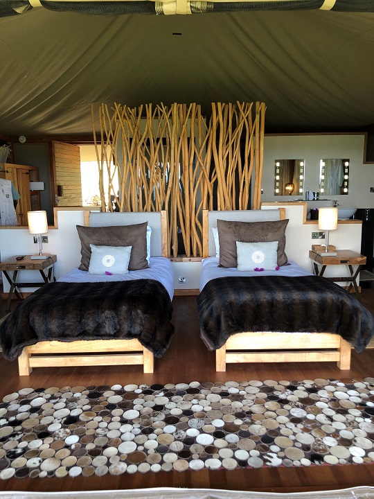 Luxury accommodations on safari