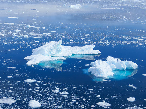 Icebergs, Errera Channel
