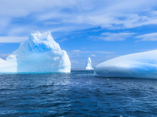 Icebergs, Cierva Cove