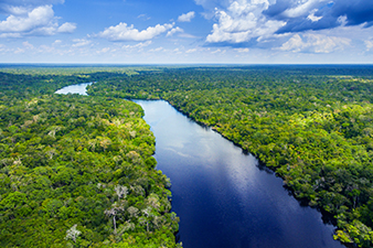 The Amazon River